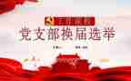 镇党支部换届工作报告模板8篇