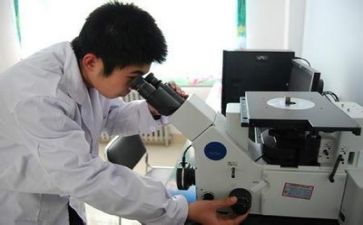 质量安全部年终总结5篇