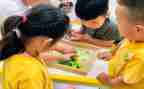 幼儿园中班年度工作计划范文7篇