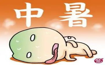 高中暑期培训心得体会6篇
