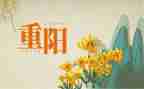 九九重阳活动策划7篇