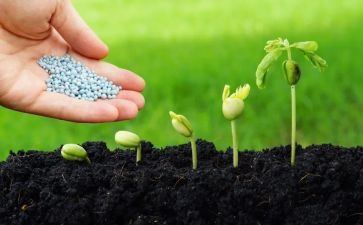 读了一粒种子的读后感8篇