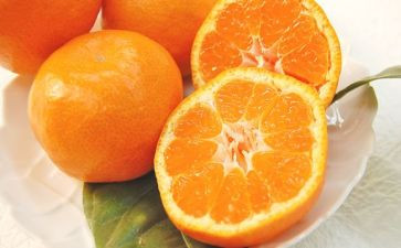 摘橘子的作文600字6篇