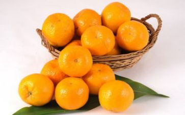 小班橘子的教案7篇