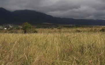 租赁房屋合同范文模板7篇
